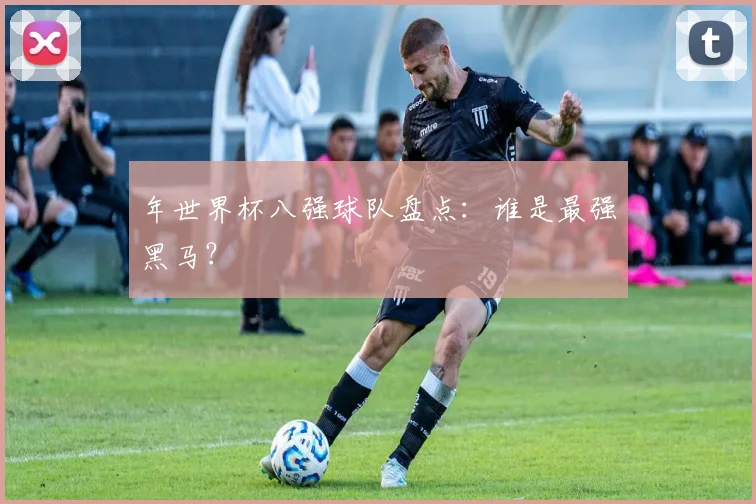 年世界杯八强球队盘点：谁是最强黑马？