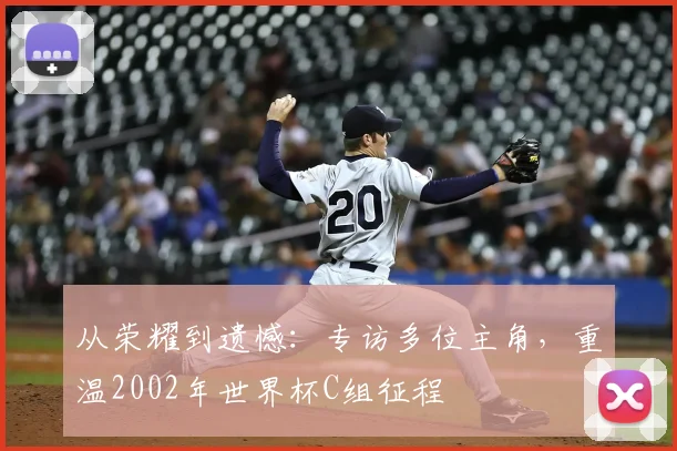 从荣耀到遗憾：专访多位主角，重温2002年世界杯C组征程