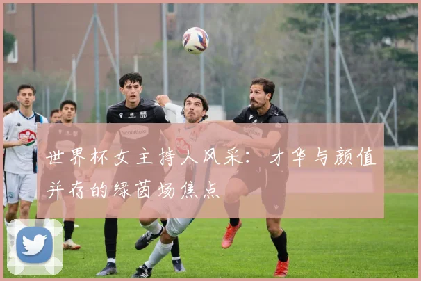 世界杯女主持人风采:才华与颜值并存的绿茵场焦点