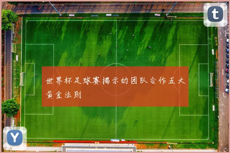 世界杯足球赛揭示的团队合作五大黄金法则