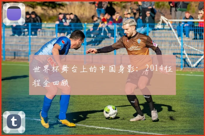 世界杯舞台上的中国身影：2014征程全回顾