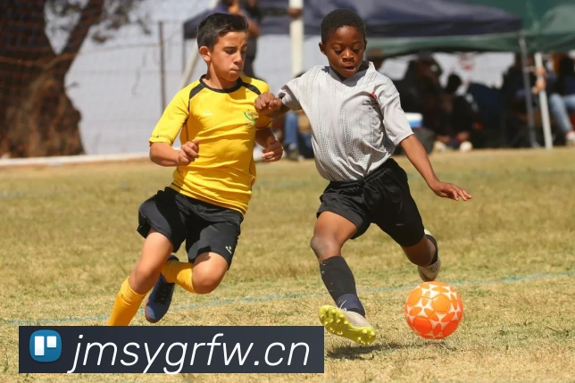 多媒体互动体验